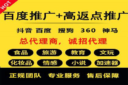 SEM推广公司案例：打造行业领军品牌